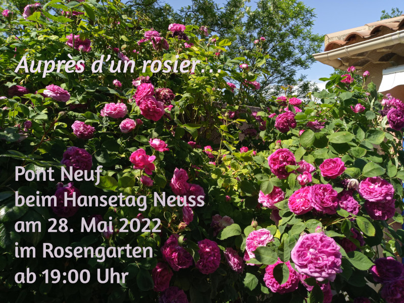 Auprès d’un rosier… Pont Neuf beim Hansetag Neuss am28.05.2022